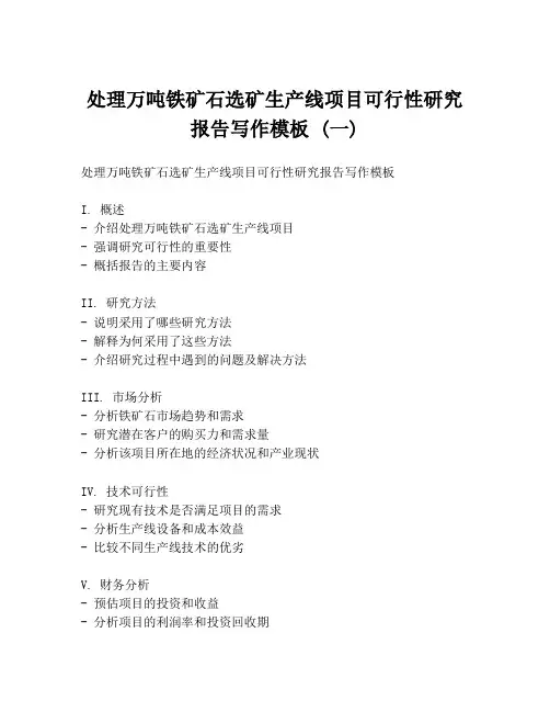 处理万吨铁矿石选矿生产线项目可行性研究报告写作模板 (一)
