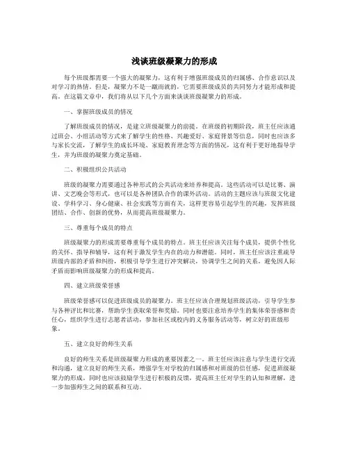 浅谈班级凝聚力的形成