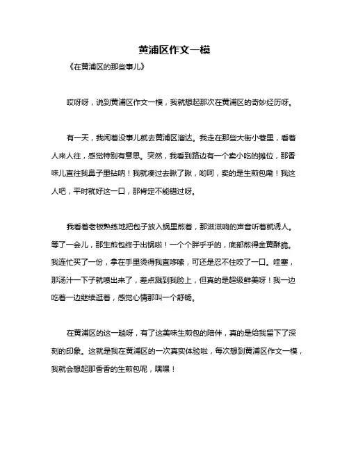 黄浦区作文一模