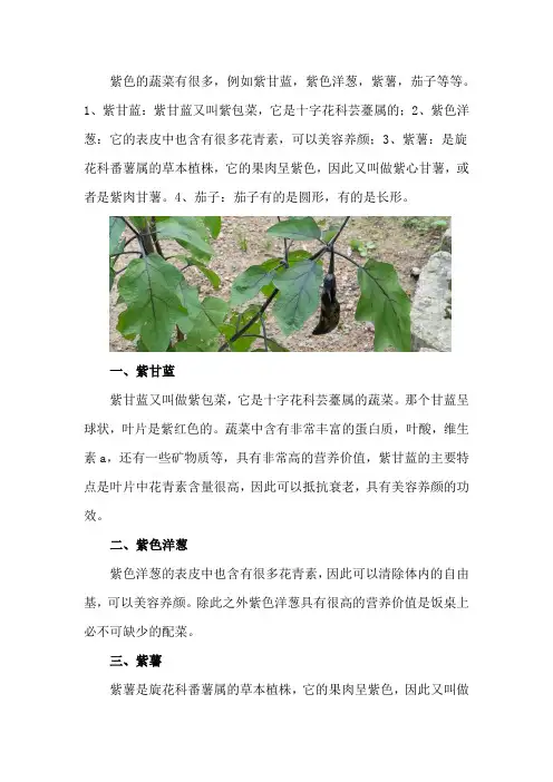 紫色的蔬菜有哪些