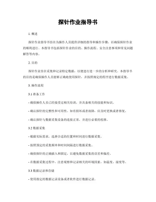 探针作业指导书