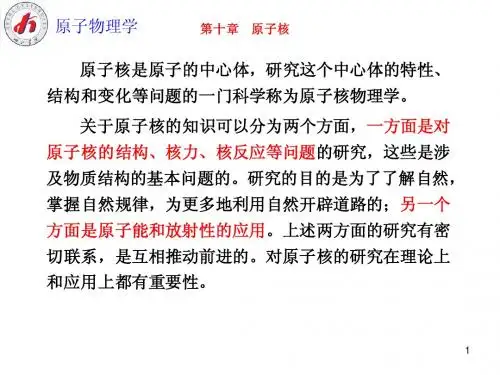 原子物理学(第十章)