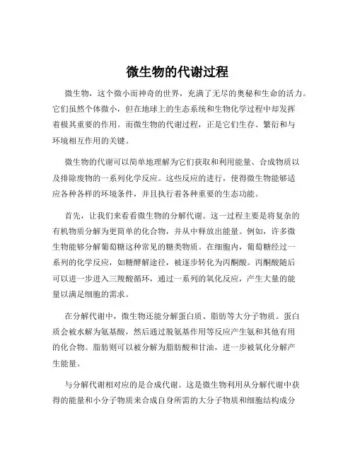 微生物的代谢过程