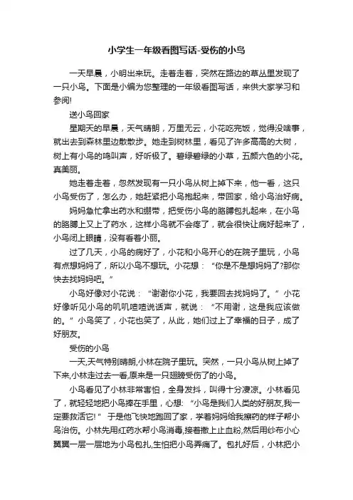 小学生一年级看图写话-受伤的小鸟