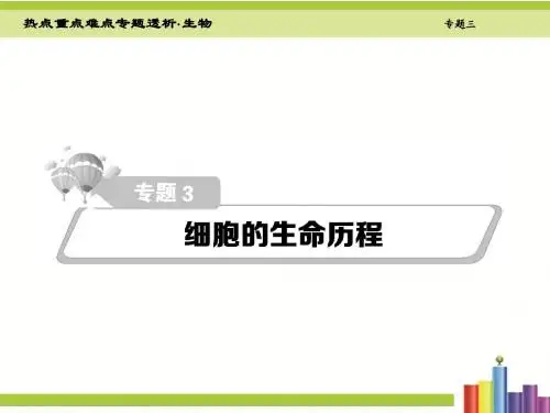 【热点重点难点专题透析】2016届高考生物二轮复习细致讲解课件专题3   细胞的生命历程(共229张PPT)