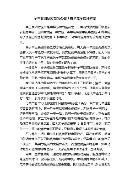 羊三联四防疫苗怎么做？母羊羔羊接种方案