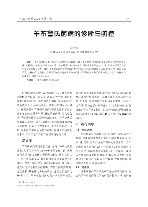羊布鲁氏菌病的诊断与防控