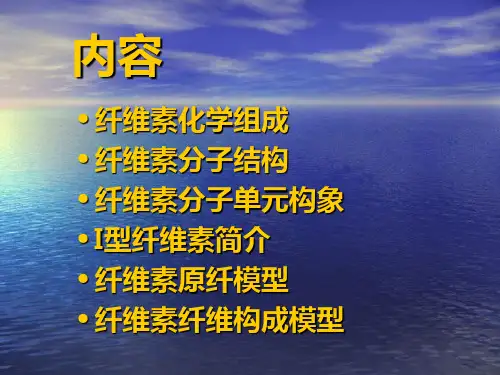 纤维素简介
