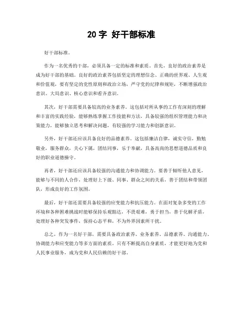 20字 好干部标准