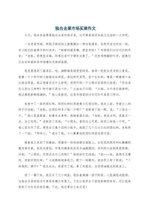 独自去菜市场买菜作文