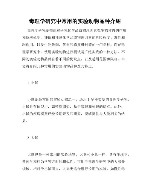 毒理学研究中常用的实验动物品种介绍