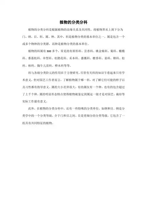 植物的分类分科