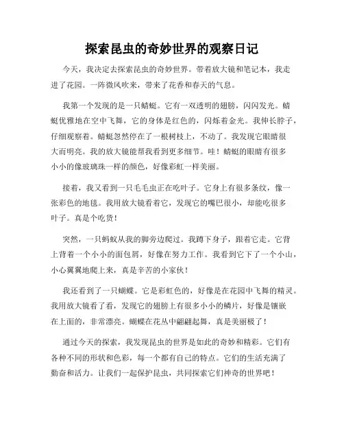 小学三年级作文探索昆虫的奇妙世界的观察日记