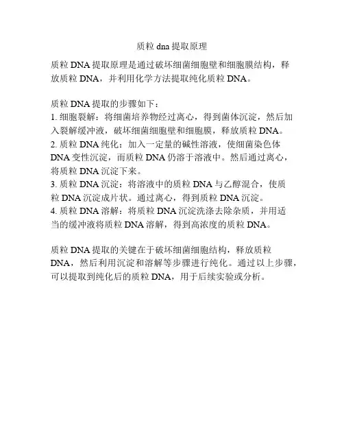 质粒dna提取原理