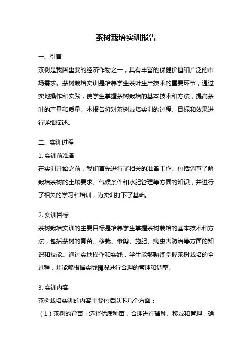 茶树栽培实训报告