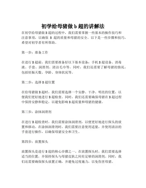 初学给母猪做b超的讲解法