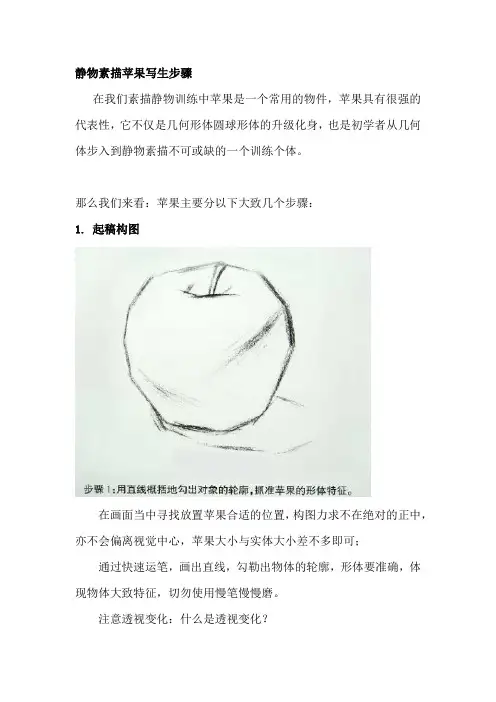 静物素描苹果写生步骤