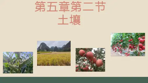 0第五章第二节土壤