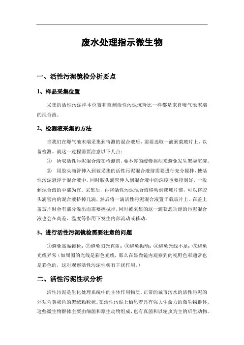 废水处理指示微生物