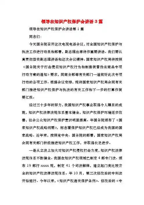 领导在知识产权保护会讲话3篇