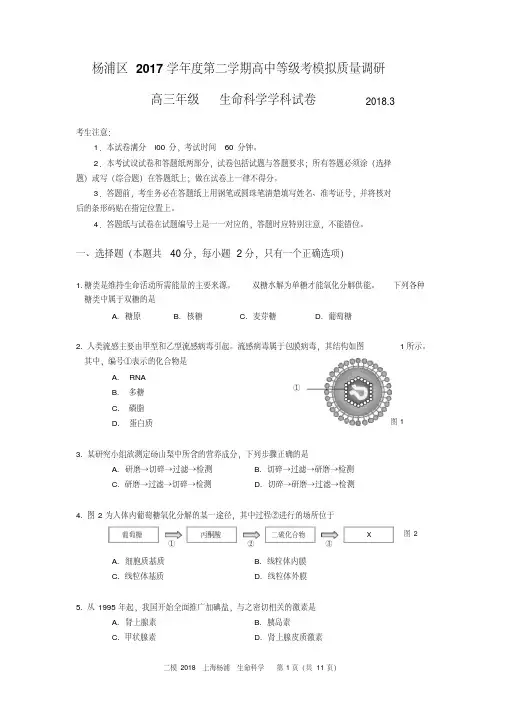 2018年上海杨浦生命科学二模试卷及答案