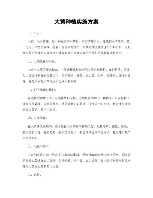大黄种植实施方案