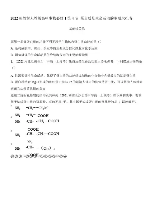 2022新教材人教版高中生物必修1同步练习题--第4节 蛋白质是生命活动的主要承担者