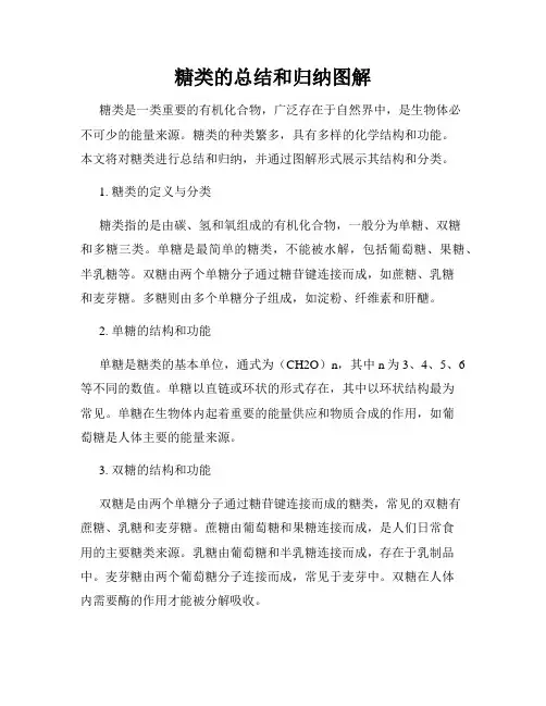 糖类的总结和归纳图解