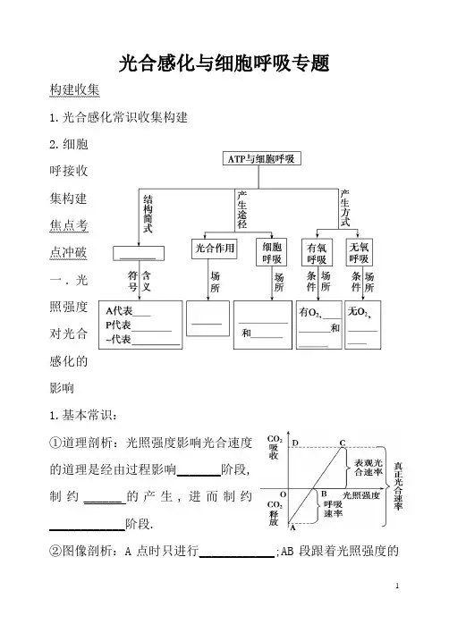 光合呼吸专题学案