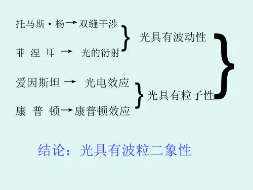 粒子的波动性课件ppt