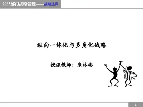 07纵向一体化与多元化战略