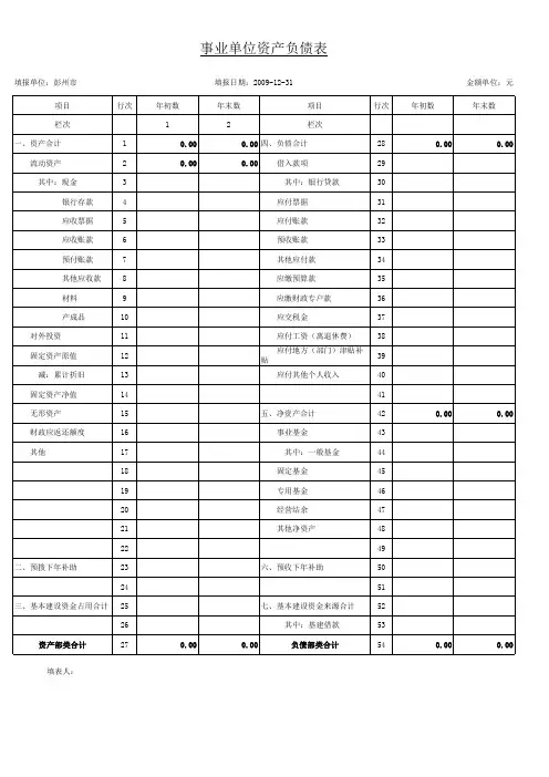 事业单位资产负债表(样表)