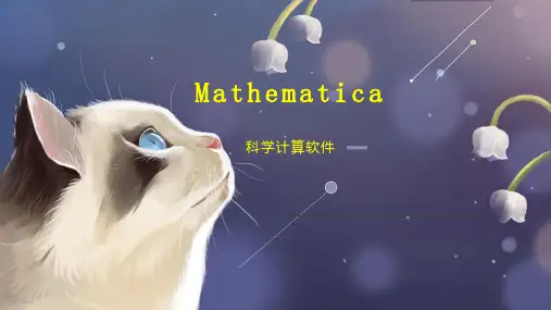 Mathematica