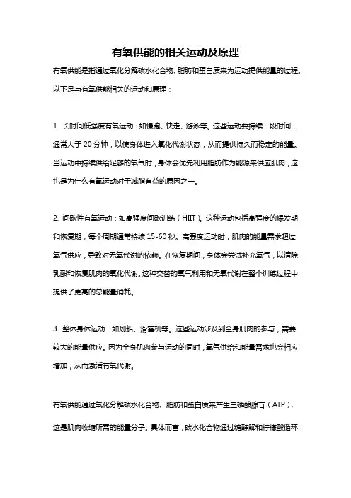 有氧供能的相关运动及原理