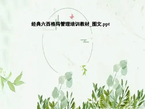 经典六西格玛管理培训教材_图文