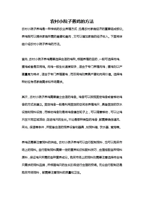 农村小院子养鸡的方法