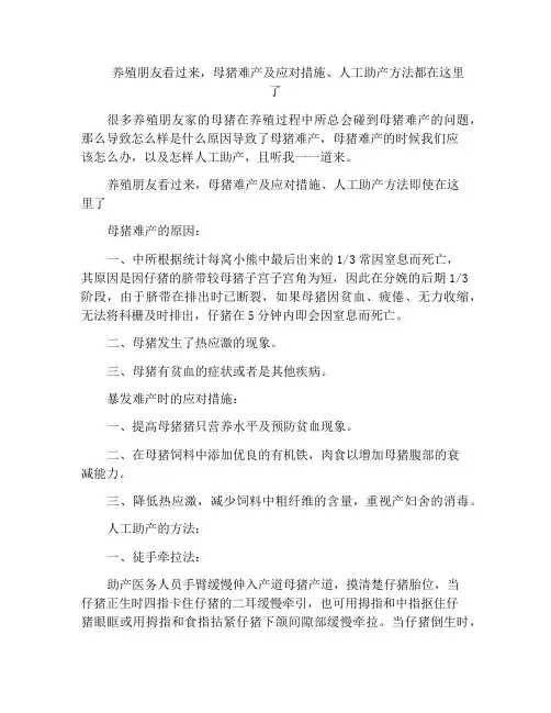养殖朋友看过来,母猪难产及应对措施、人工助产方法都在这里了