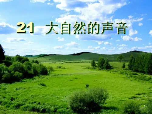 三年级语文上册教学课件大自然的声音PPT课件部编版