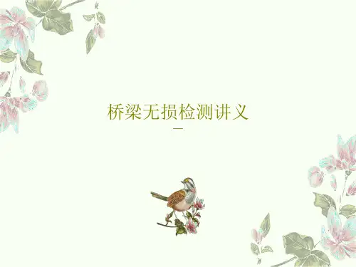桥梁无损检测讲义共66页