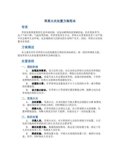 草原火灾处置方案范本