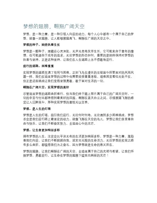 梦想的翅膀,翱翔广阔天空