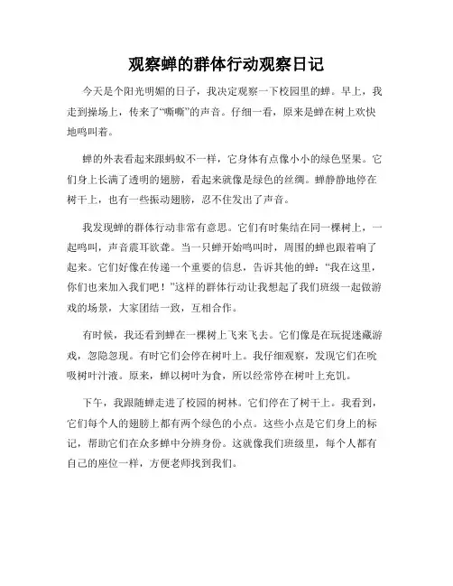  小学三年级作文观察蝉的群体行动观察日记