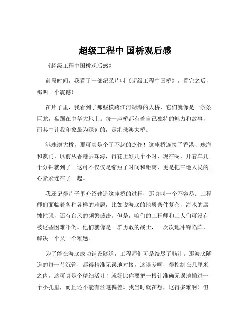 超级工程中 国桥观后感