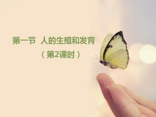 北京版八年级上册生物《人的生殖和发育》第2课时优教课件