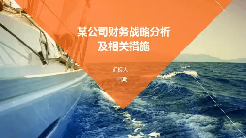 某公司财务战略分析及相关措施