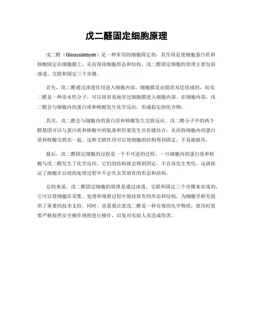 戊二醛固定细胞原理