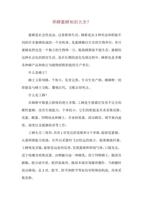 养蜂蜜蜂知识大全？
