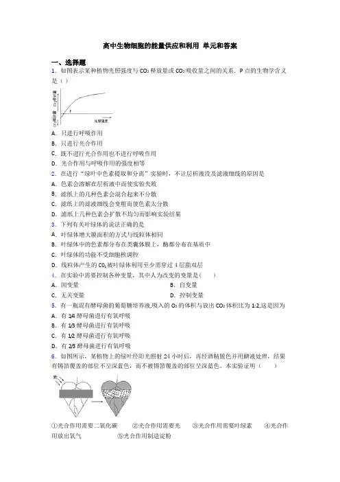 高中生物细胞的能量供应和利用 单元和答案
