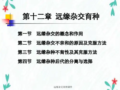远缘杂交育种课件