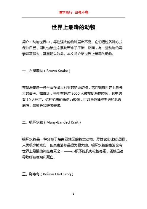 世界上最毒的动物